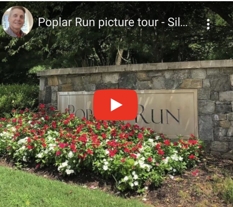 Read more about the article Poplar Run in Silver Spring – Picture gallery